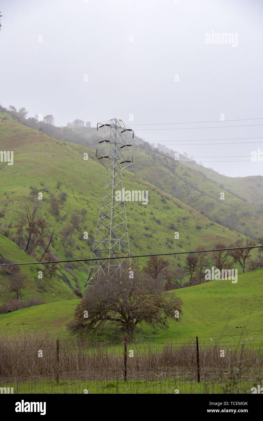 Electric bushes hi-res stock photography and images - Alamy