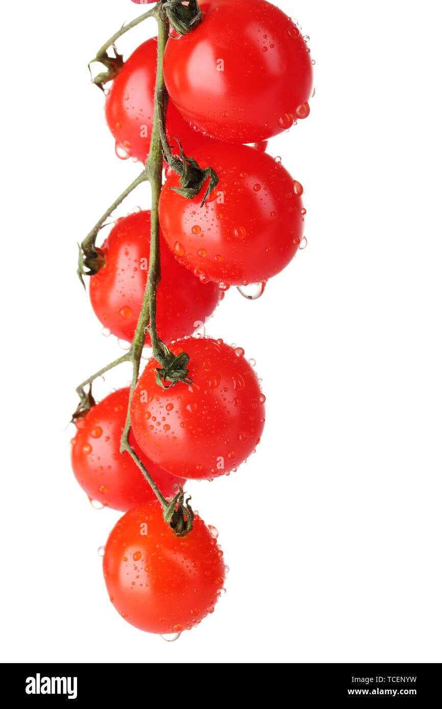 Beautiful cherry tomatoes on a branch isolated on white Stock Photo - Alamy