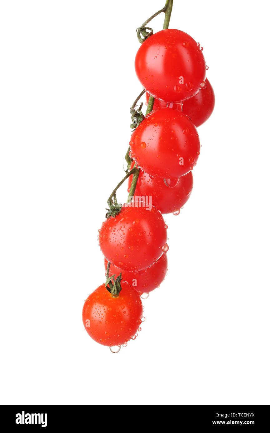 Beautiful cherry tomatoes on a branch isolated on white Stock Photo - Alamy