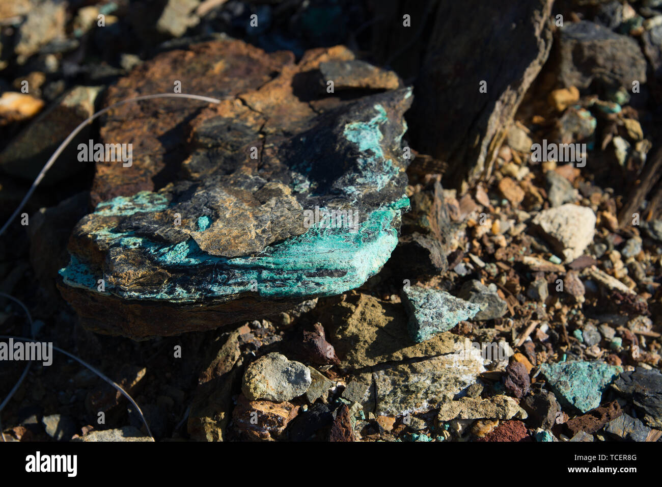 Close-up shot of rough rock with beautiful blue colored mineral ...
