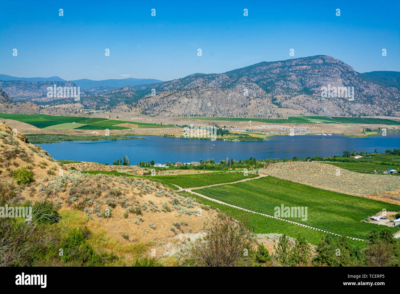 Okanagan valley panoramic view with residential area and orchard farm