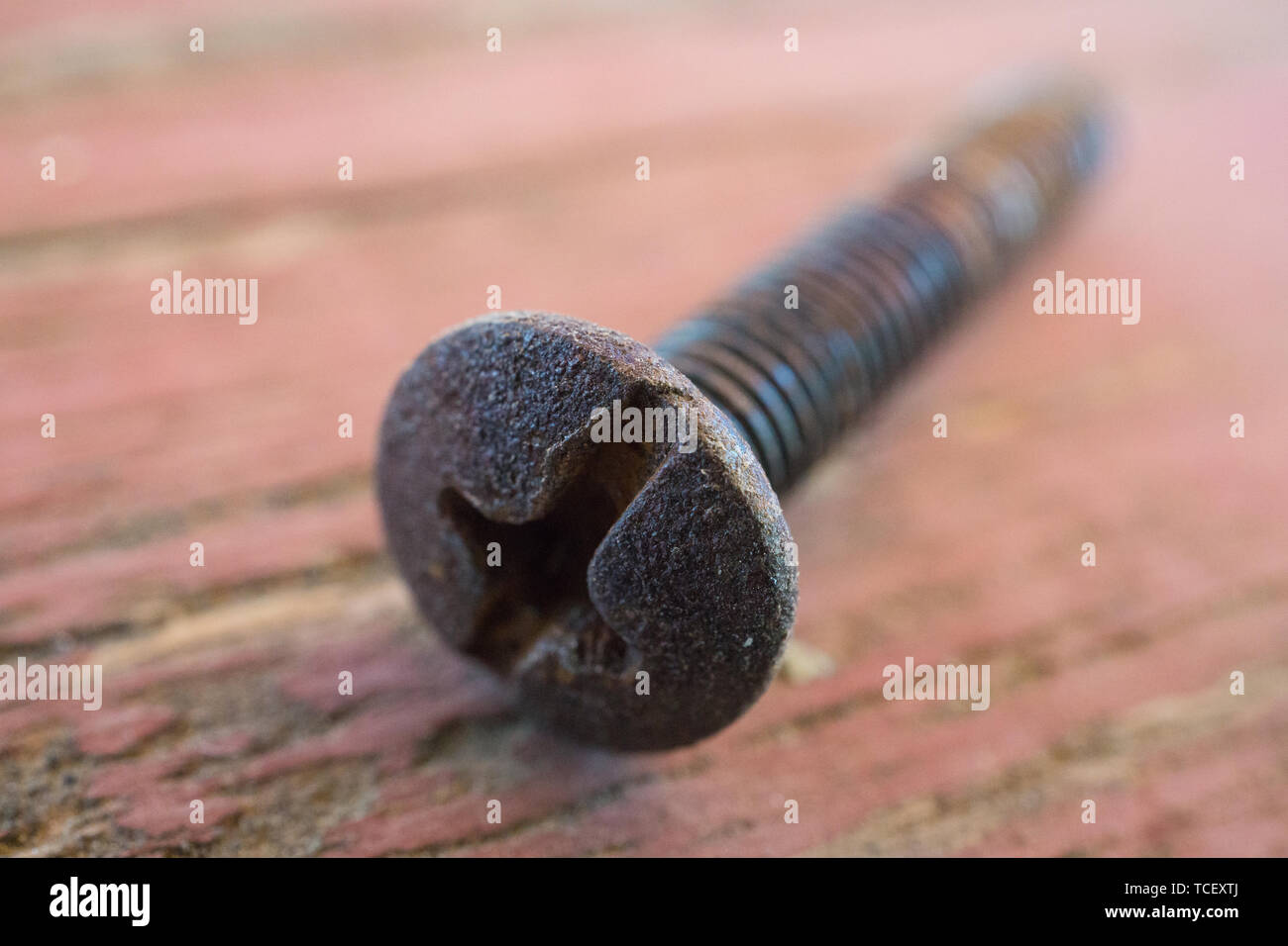 Lightly Rusted Screw Surface rusty screw hi-res stock photography and images - Alamy