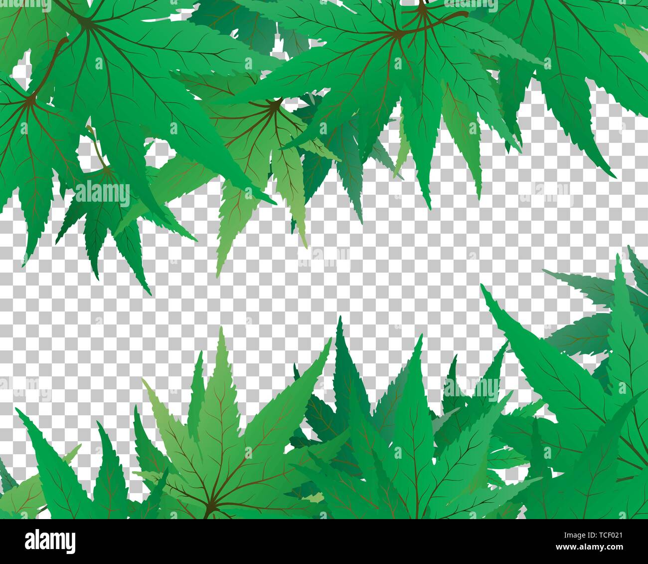 Backgroundframe from maple leaves with transparency grid on back. Vector Illustration. Stock Vector