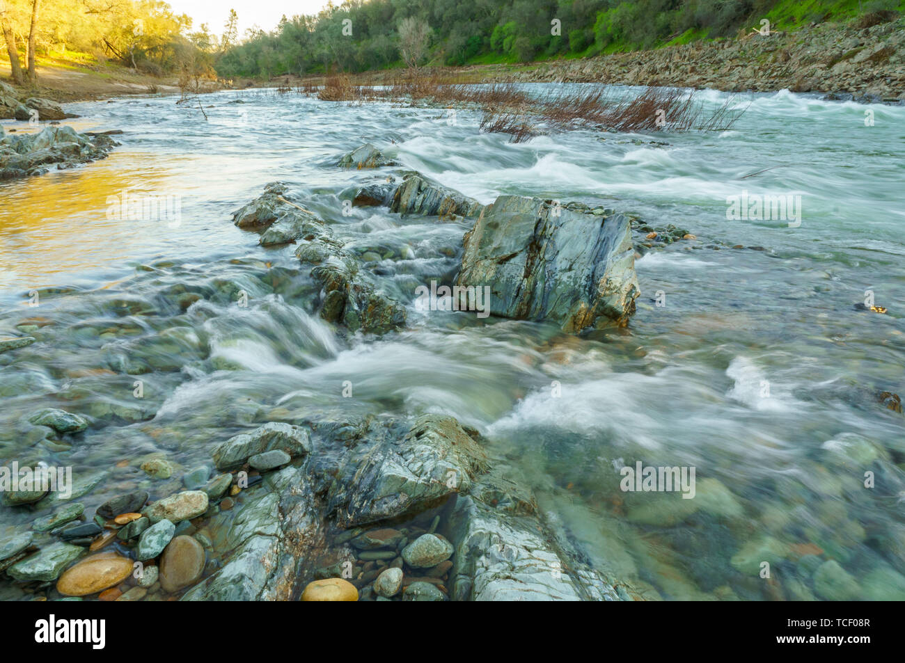 Forest landscape with rapid shallow stream with crystal clear