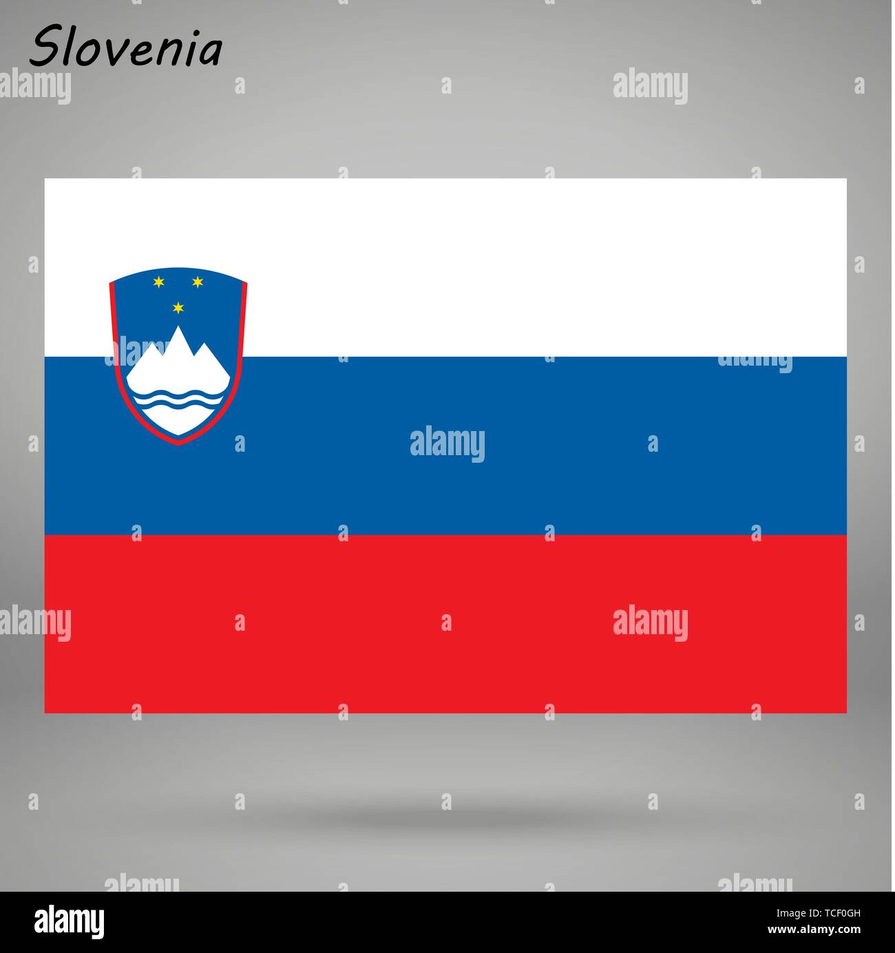 simple flag of Slovenia isolated on white background Stock Vector Image ...