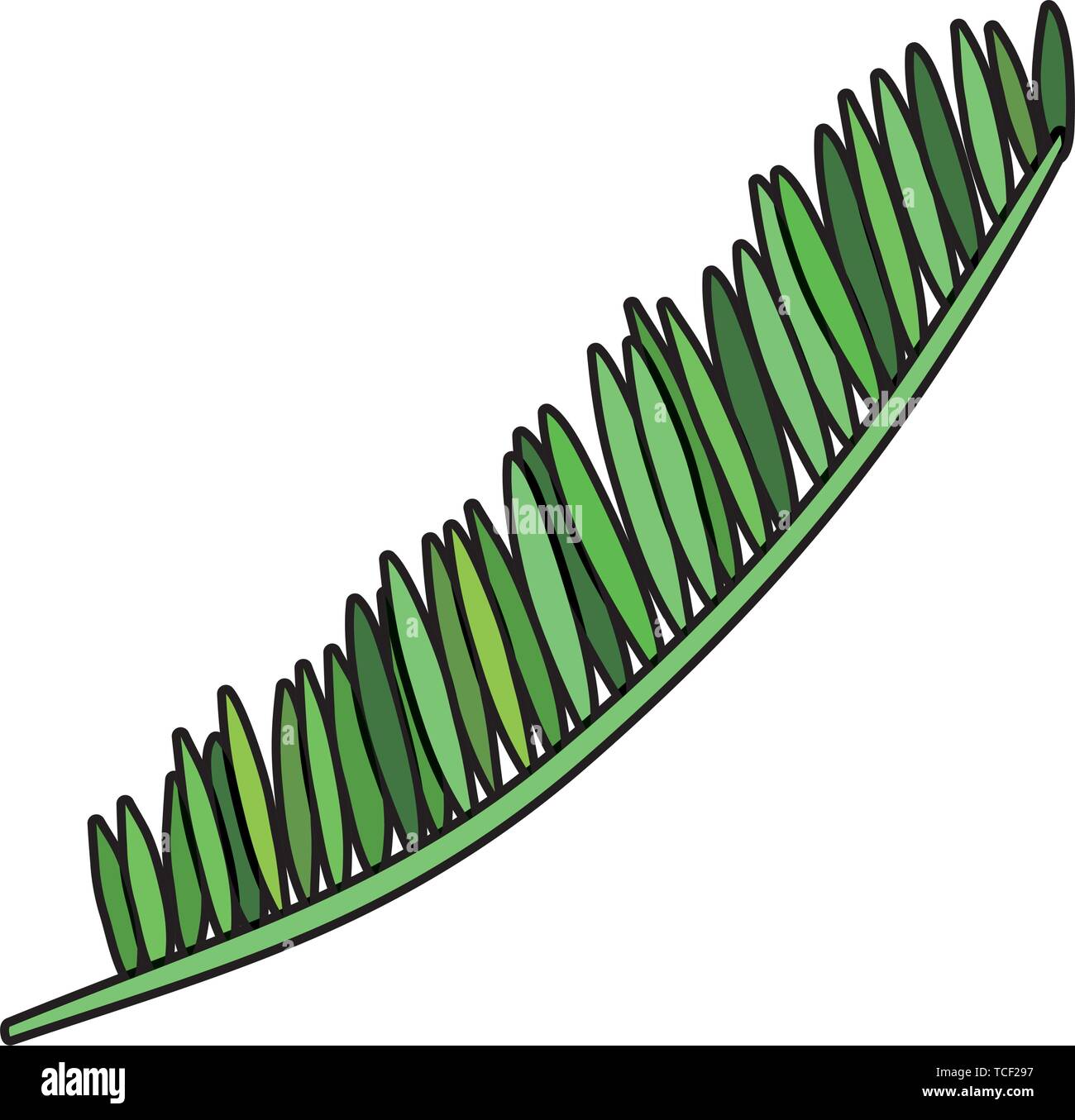 exotic leaf palm tropical icon Stock Vector Image & Art - Alamy