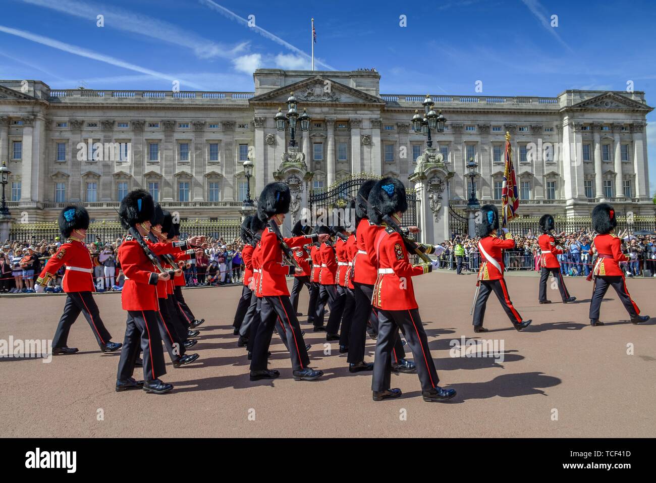 Guards Queen's Guards, Changing of the guards, Buckingham Palace, London, England, Great Britain Stock Photo
