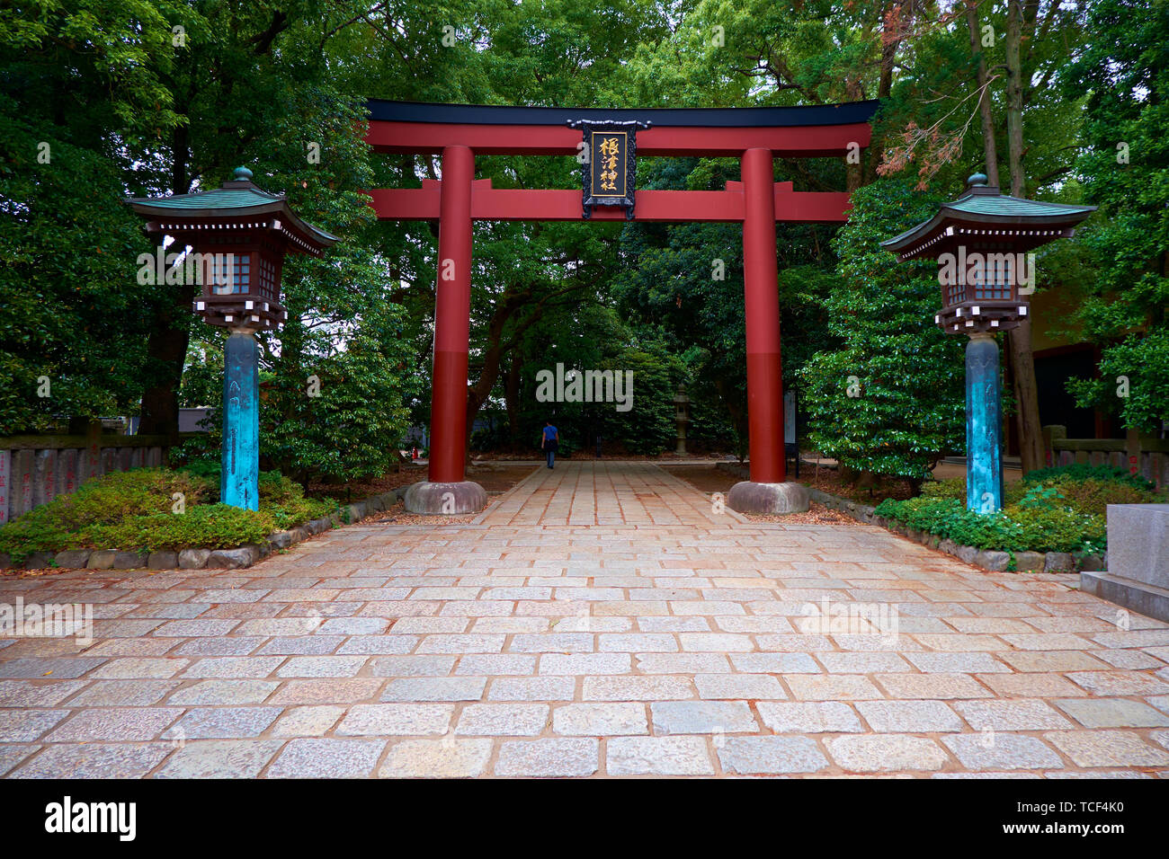 The grand, red Tori gate entrance to Nezu shrine in Tokyo, Japan Stock