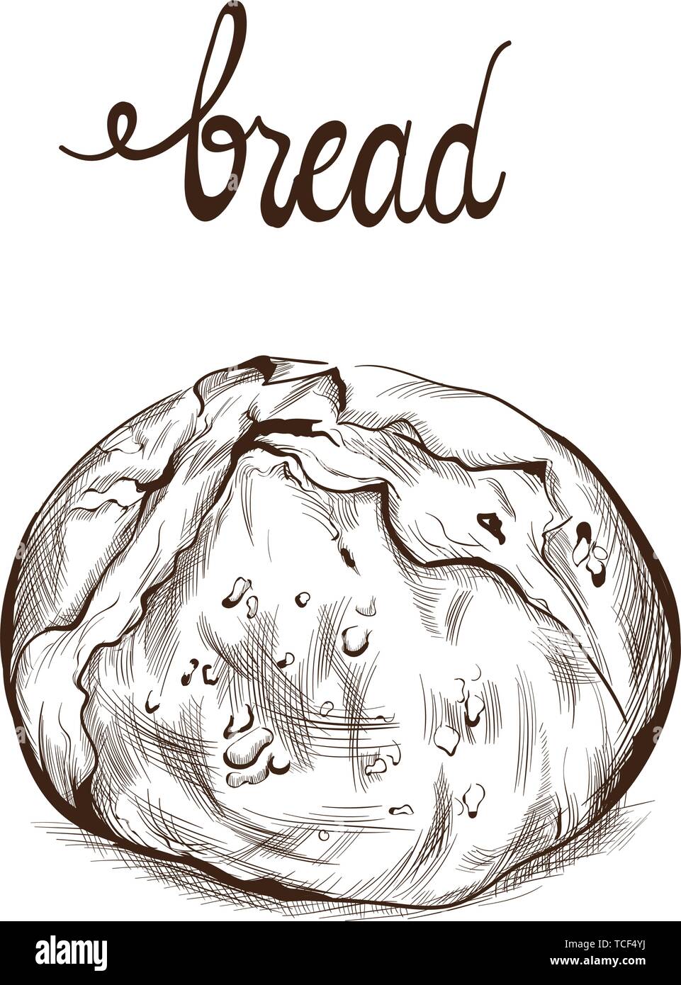 Bread Vector Lineart Vintage Homemade Bakery Menu Decor Stock Vector Image Art Alamy