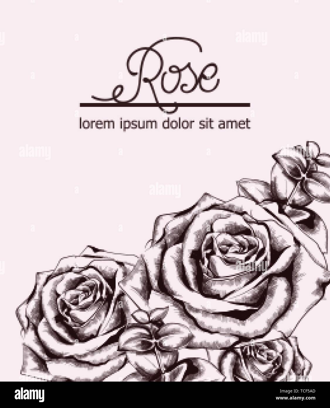 Vintage roses card Vector line art. Boho style posters. Pink color ...