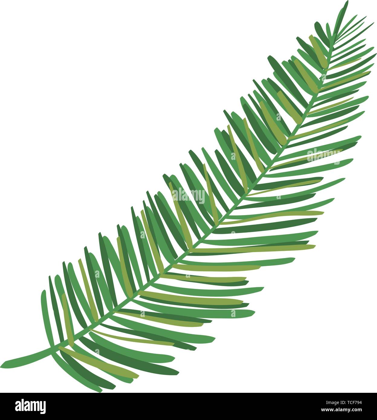 exotic leaf palm tropical icon Stock Vector Image & Art - Alamy