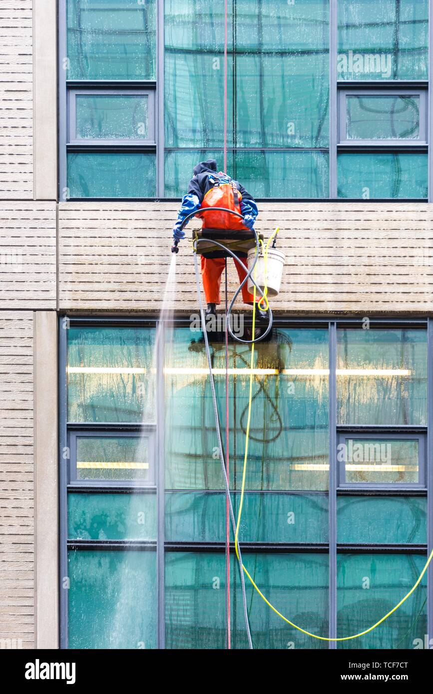 Window cleaner ropes down a high-rise building, Seattle, Washington, USA, North America Stock Photo