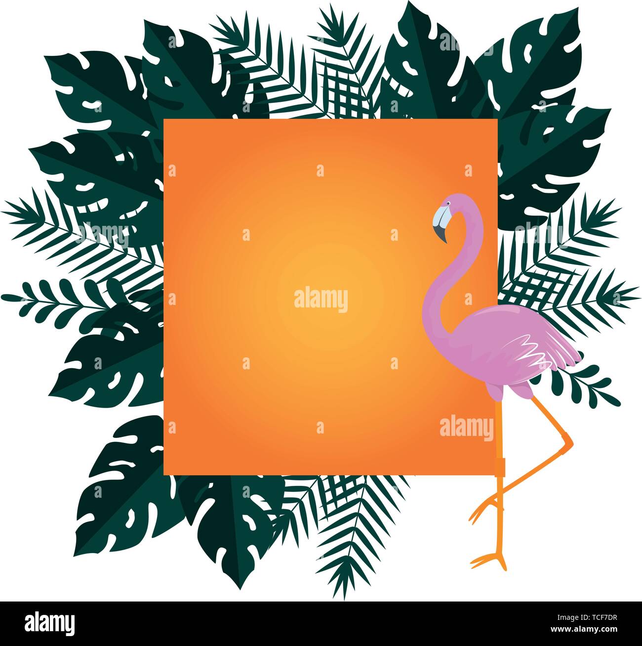 summer frame with tropical leafs and flemish Stock Vector Image & Art ...