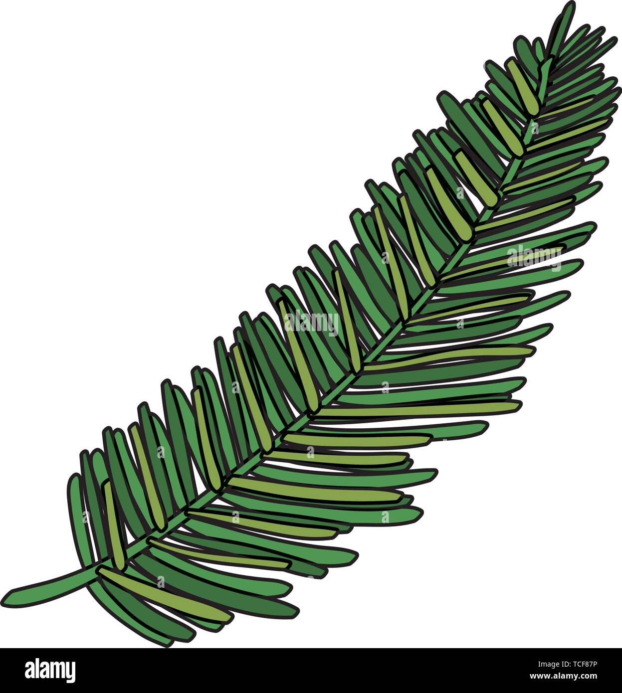 exotic leaf palm tropical icon Stock Vector Image & Art - Alamy