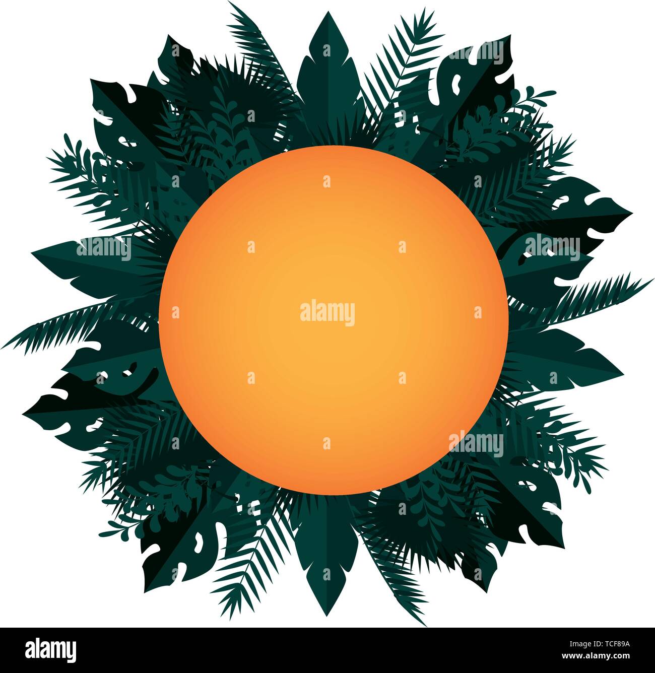 summer circular frame with tropical and exotic leafs plants Stock ...