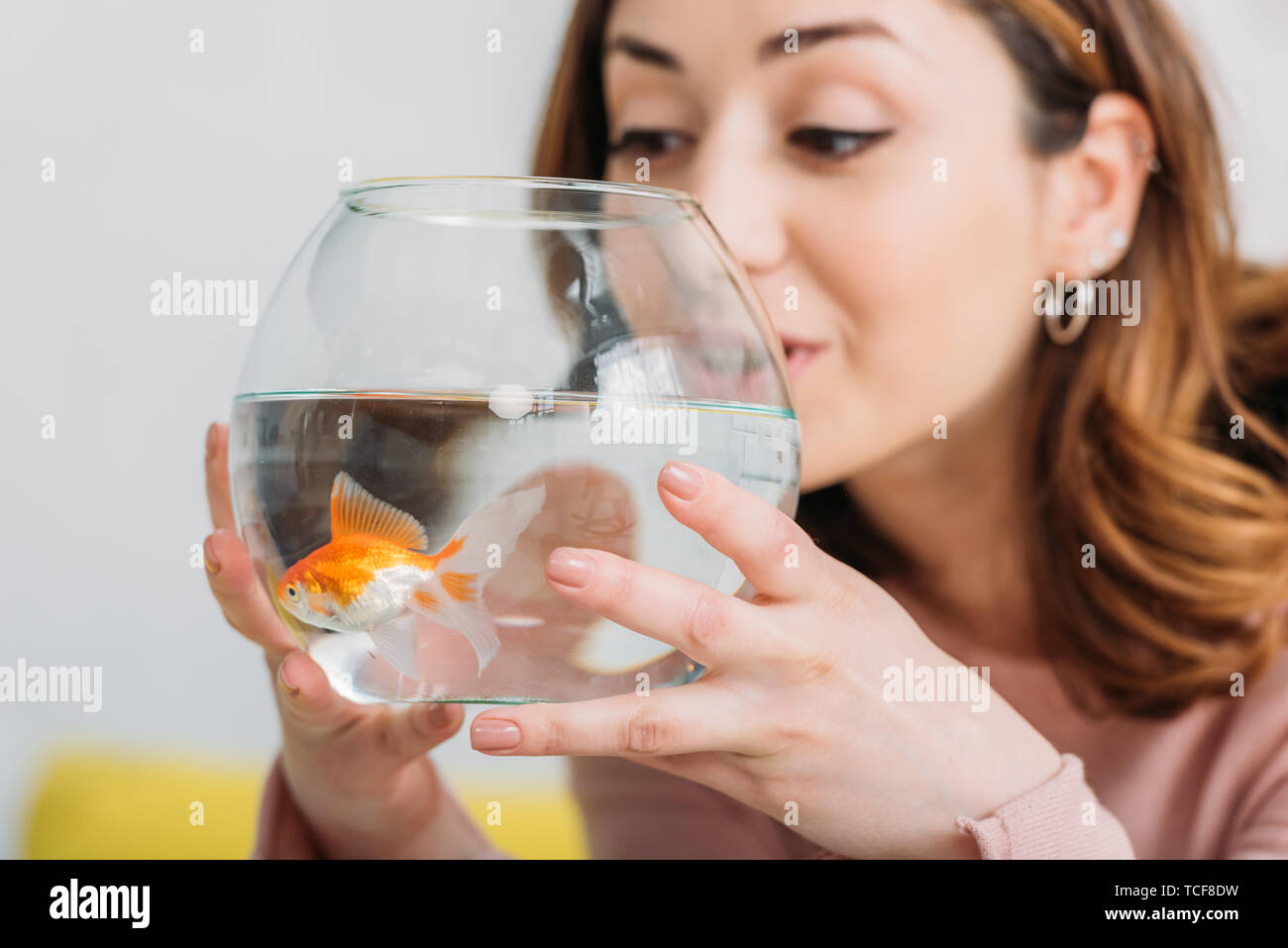 beautiful young woman holding fish bowl with bright golden fish Stock