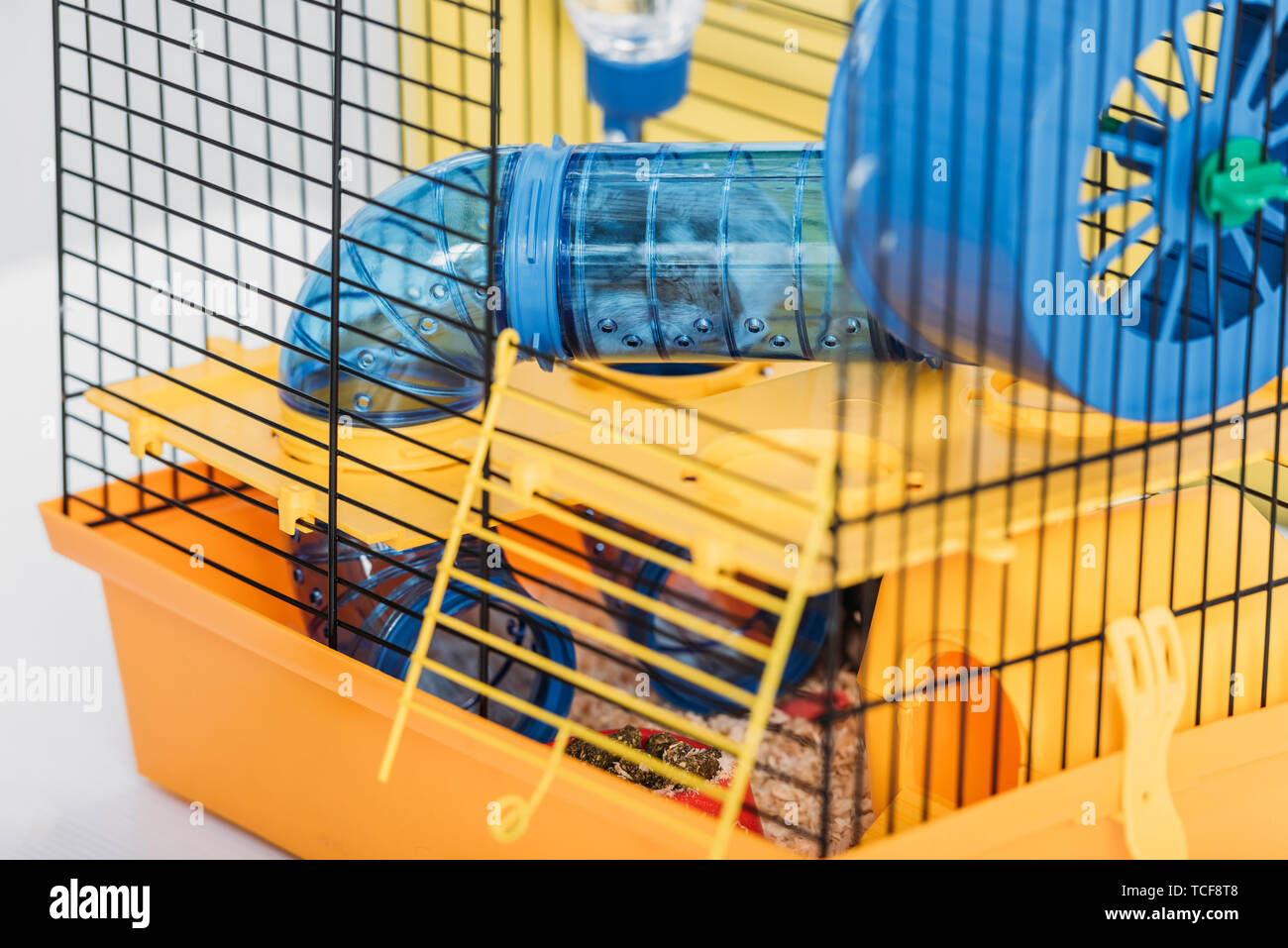 orange pet cage with hamster inside transparent plastic tunnel Stock Photo