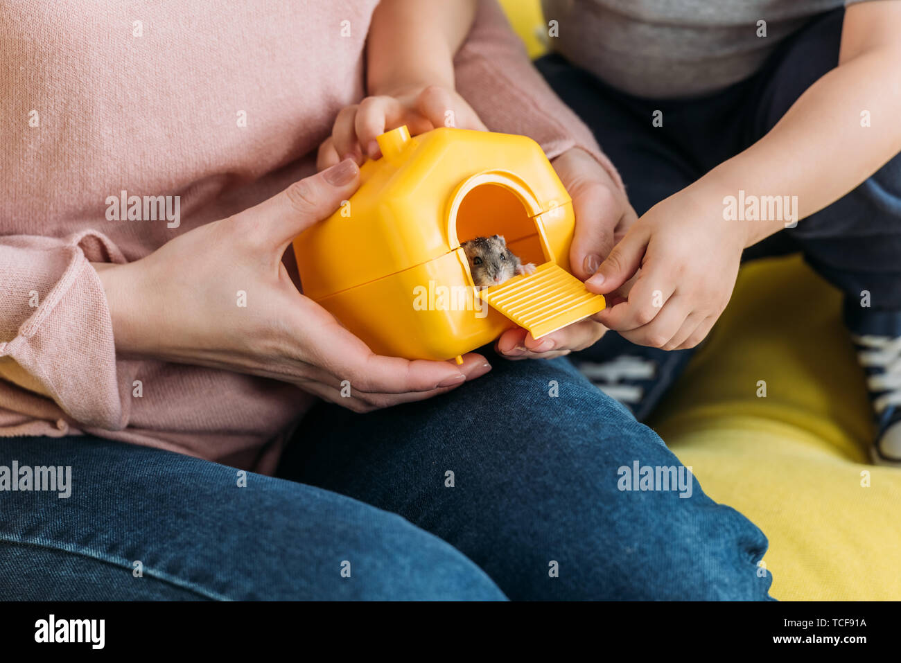 partial view of mother and son holding  pet house with funny hamster Stock Photo