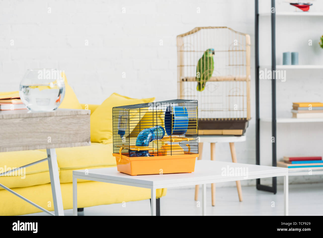 living room with orange pet cage on white table, and green parrot in bird cage Stock Photo