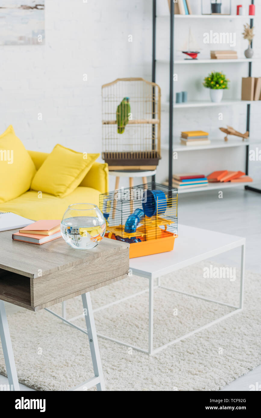 living room with orange pet cage on white table, rack, and green parrot in bird cage Stock Photo