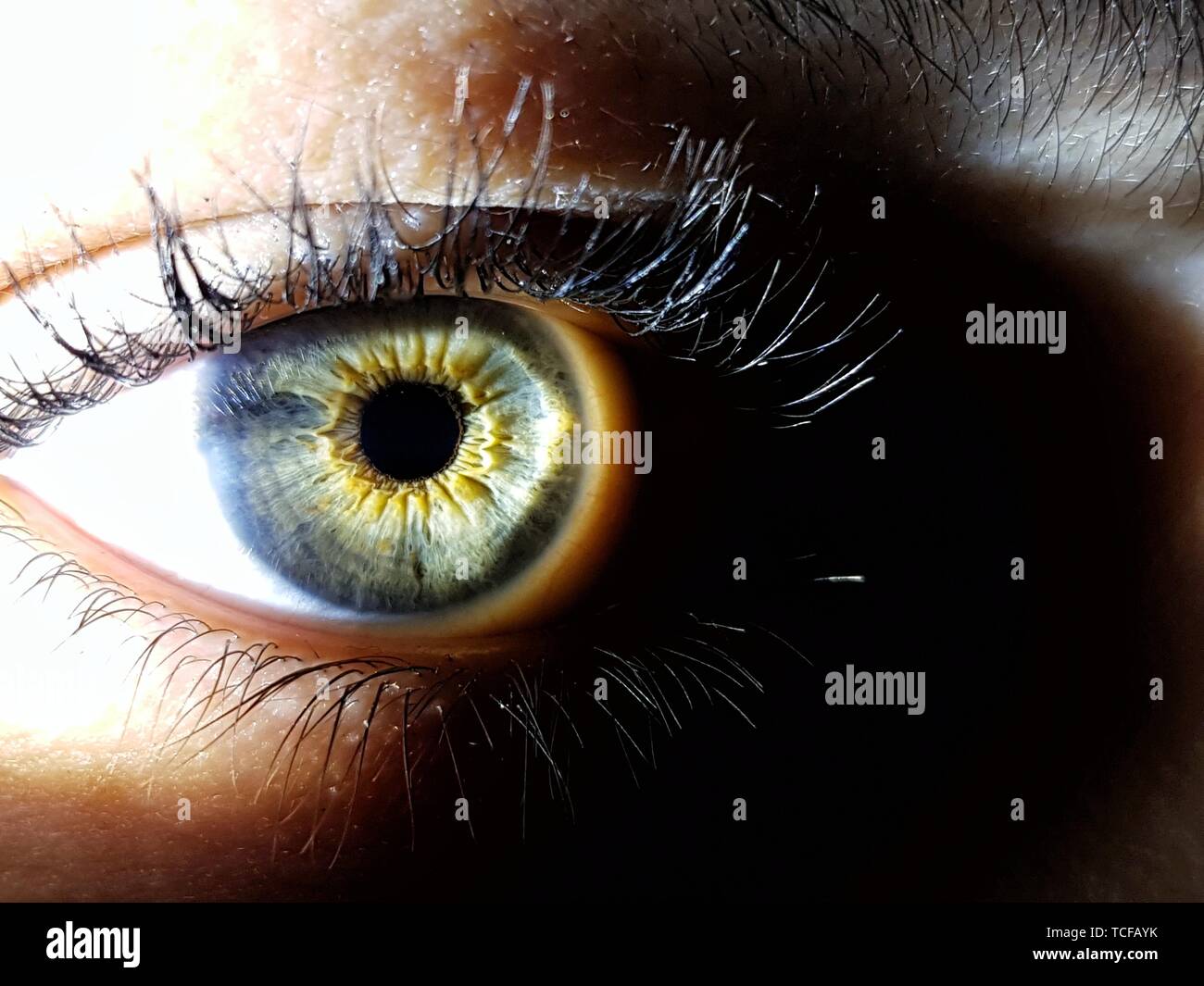 A Beautiful Macro Closeup Shot Of A Female Human S Deep Eyes Stock