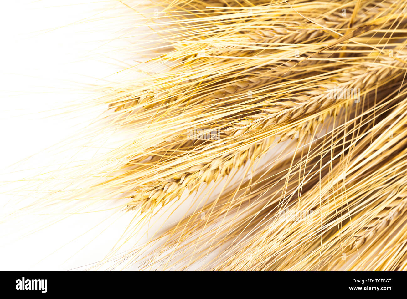 wheat ears isolated on white background Stock Photo - Alamy