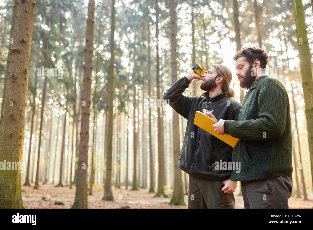 Forester determine tree height by threepoint measurement with