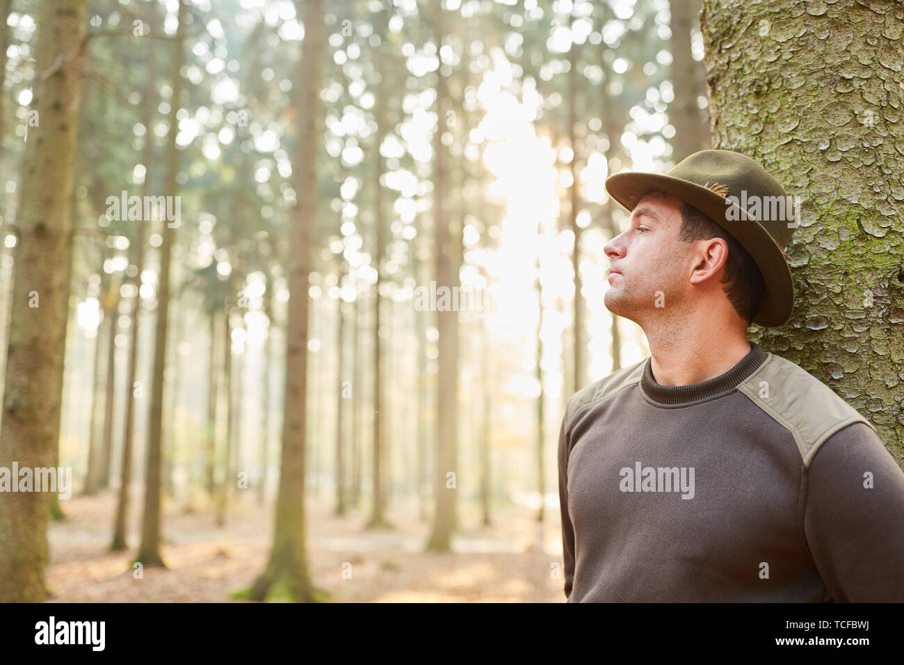 Forester with responsibility looks at trees in his forest district Stock Photo