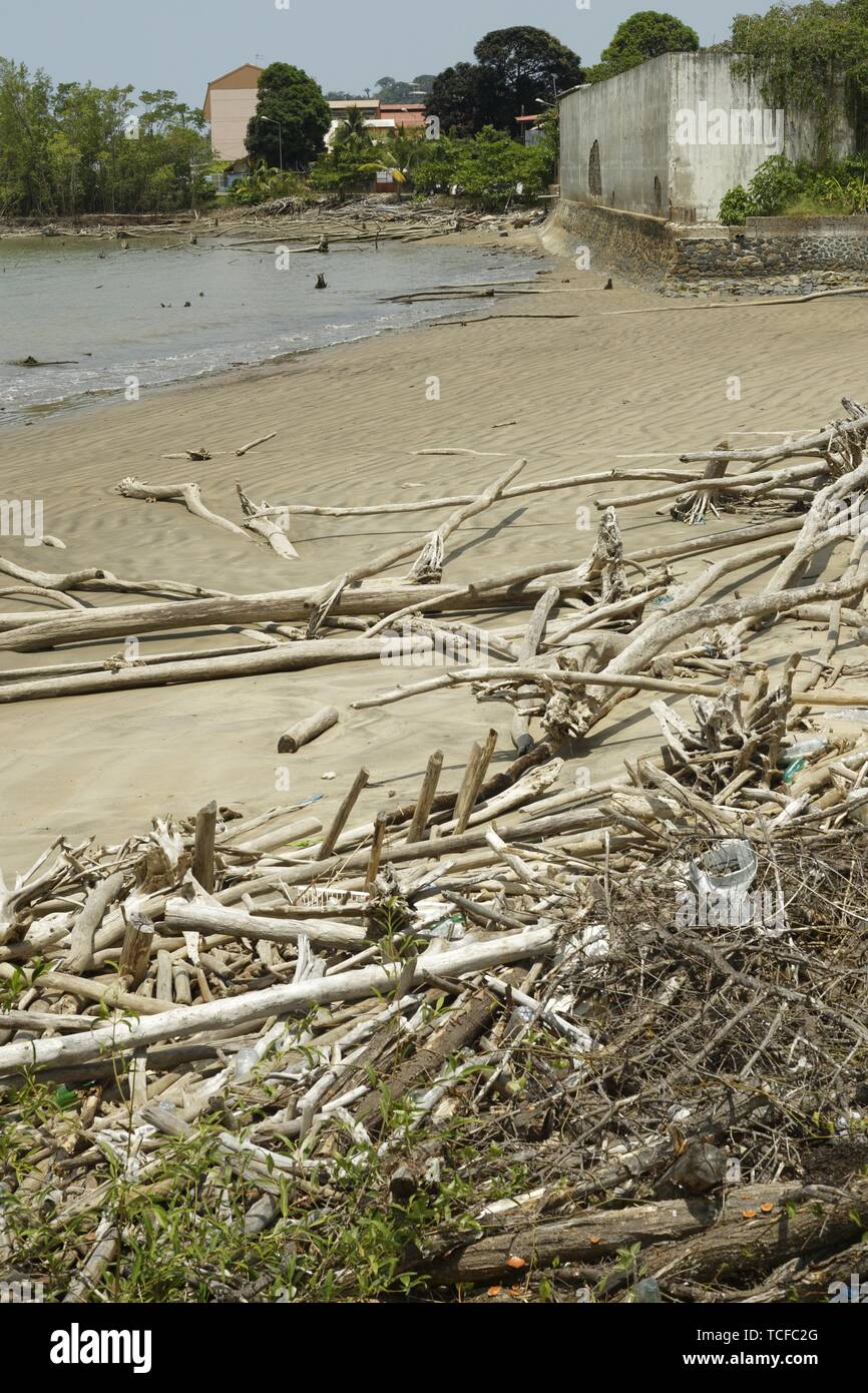 Sand beach, Cayenne, French Guiana Stock Photo Alamy