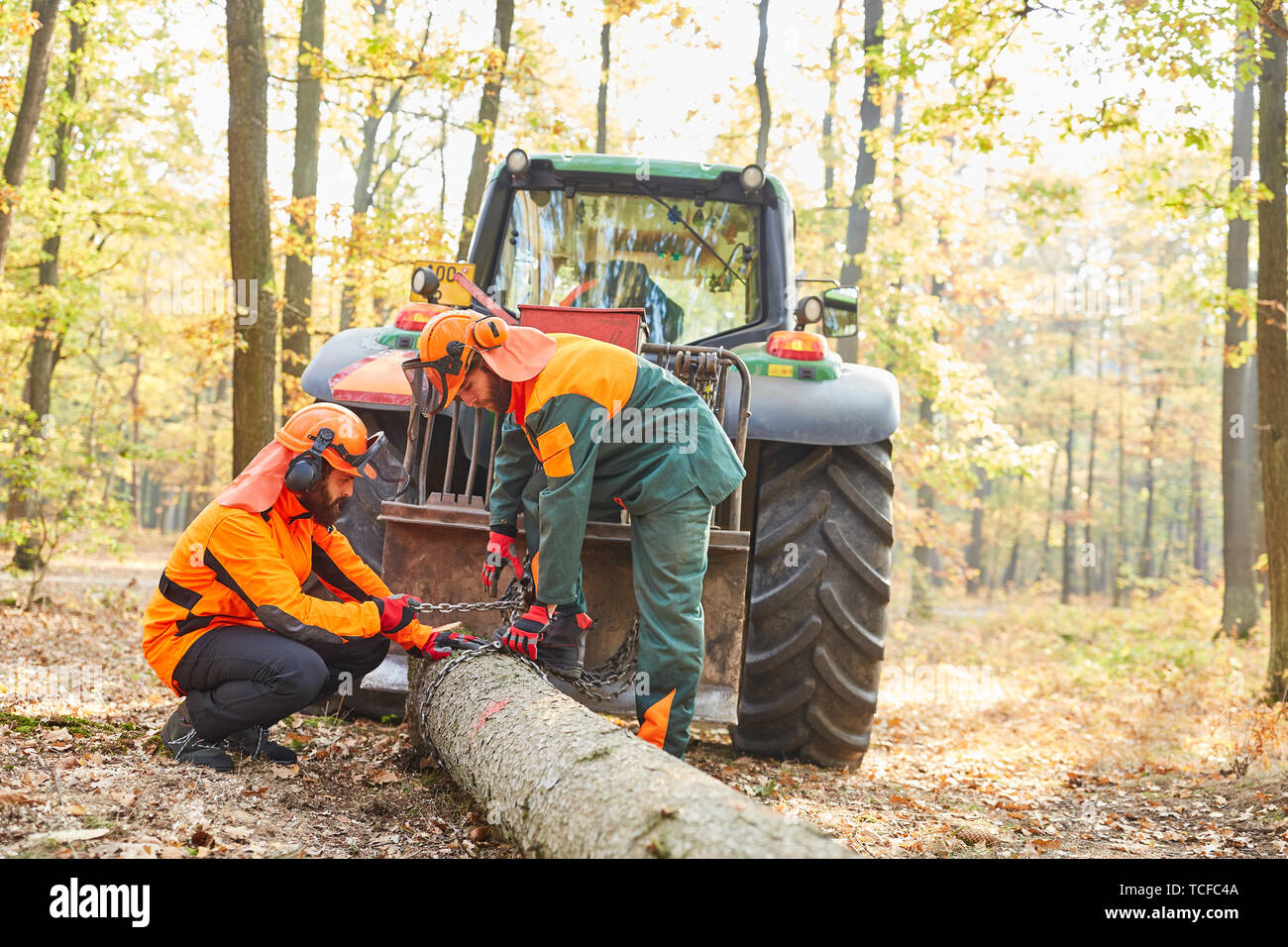 Two Forest Workers Or Lumberjacks In The Wood Back With The Forwarder In The Forest Stock Photo Alamy