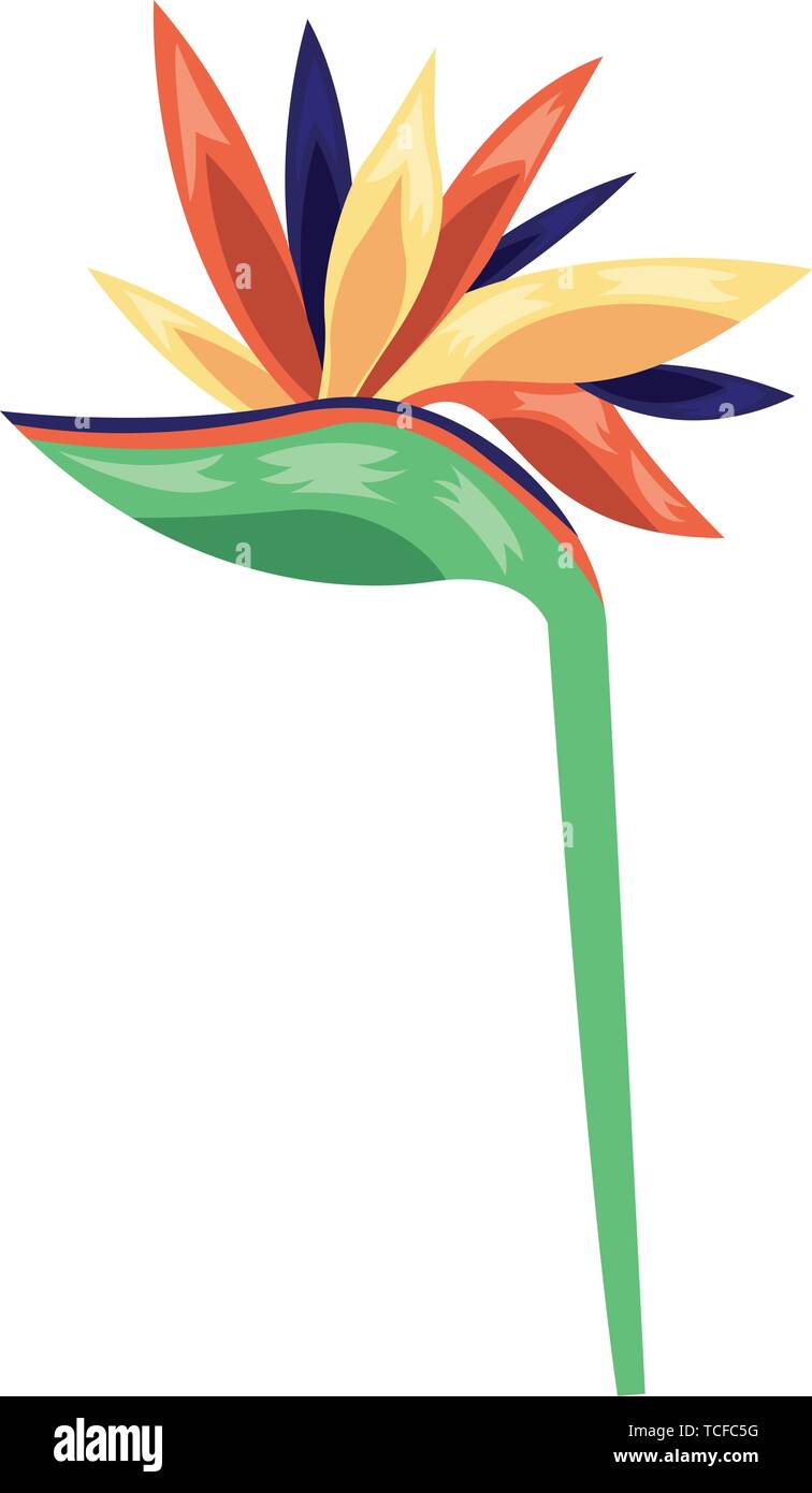 tropical exotic flower decoration icon Stock Vector Image & Art - Alamy