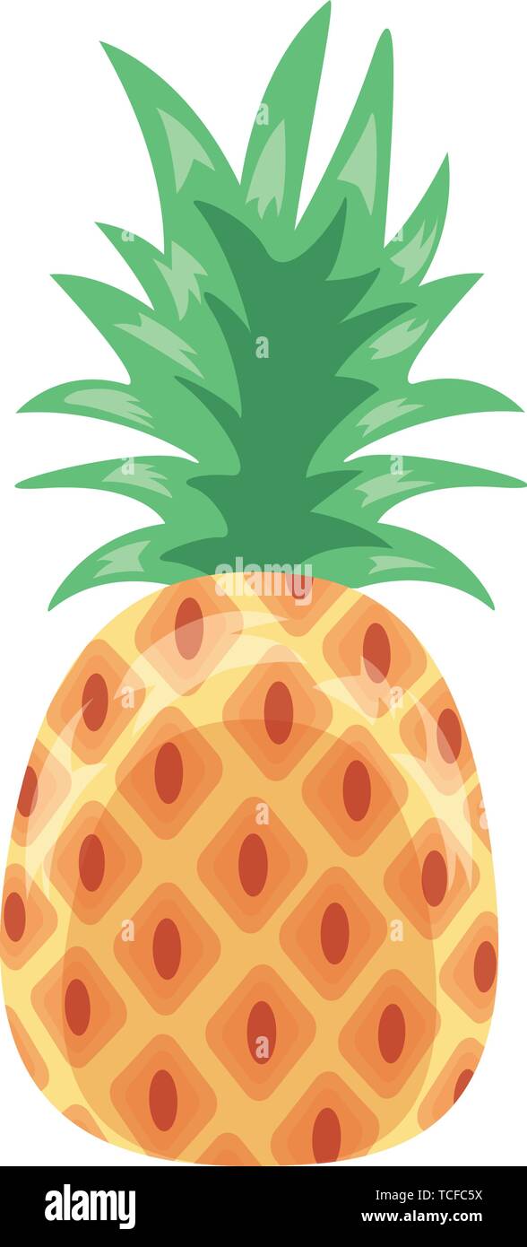 pineapple tropical fruits on white background Stock Vector Image & Art ...