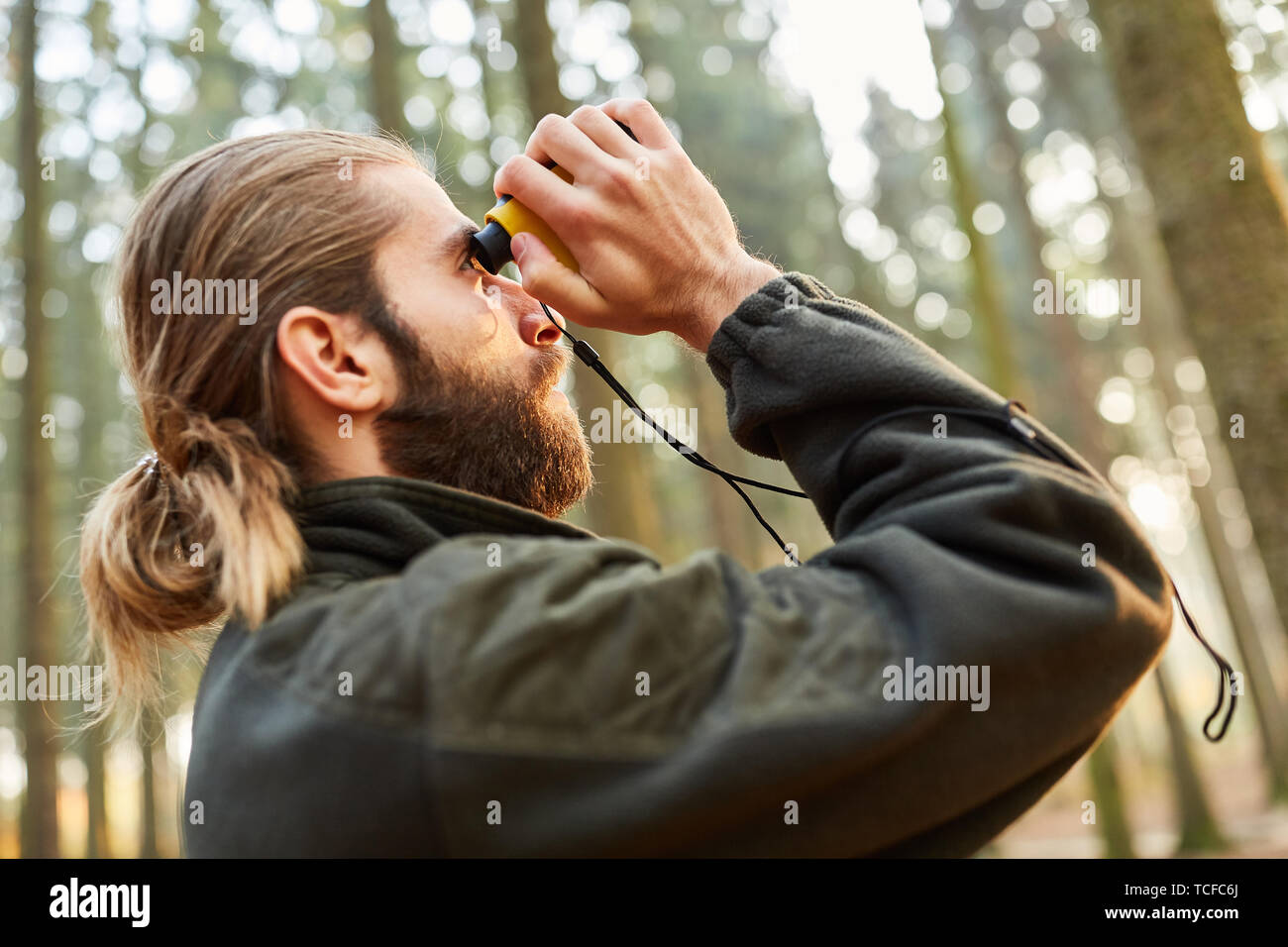 Förster determines the tree height with a range finder by three-point measurement Stock Photo