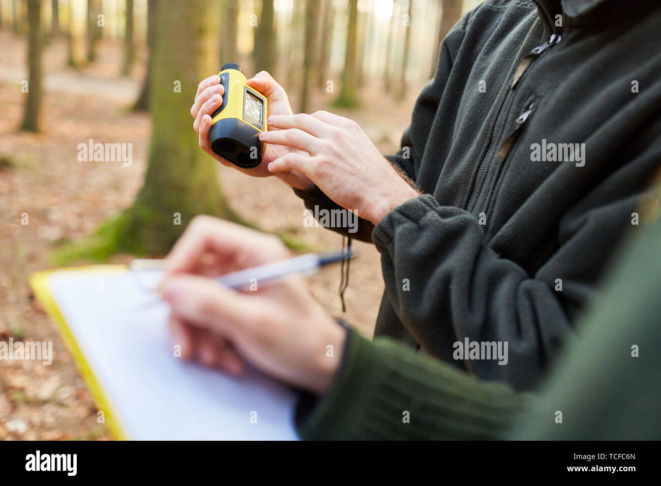 Two foresters with rangefinder and clipboard at the forest care Stock Photo