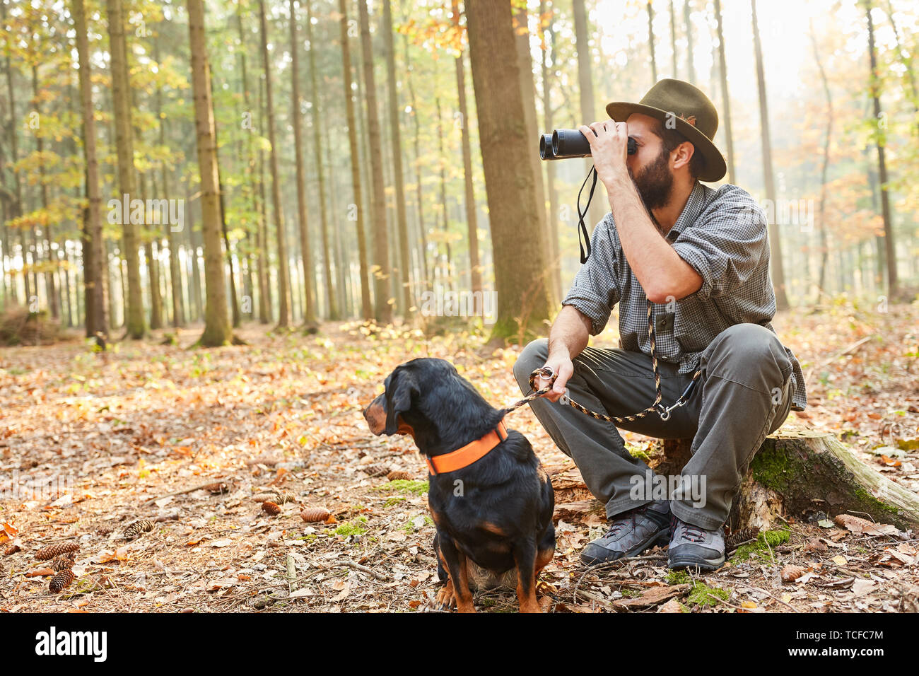 A hunter or forester with a hound as a hunting dog watches nature through binoculars Stock Photo