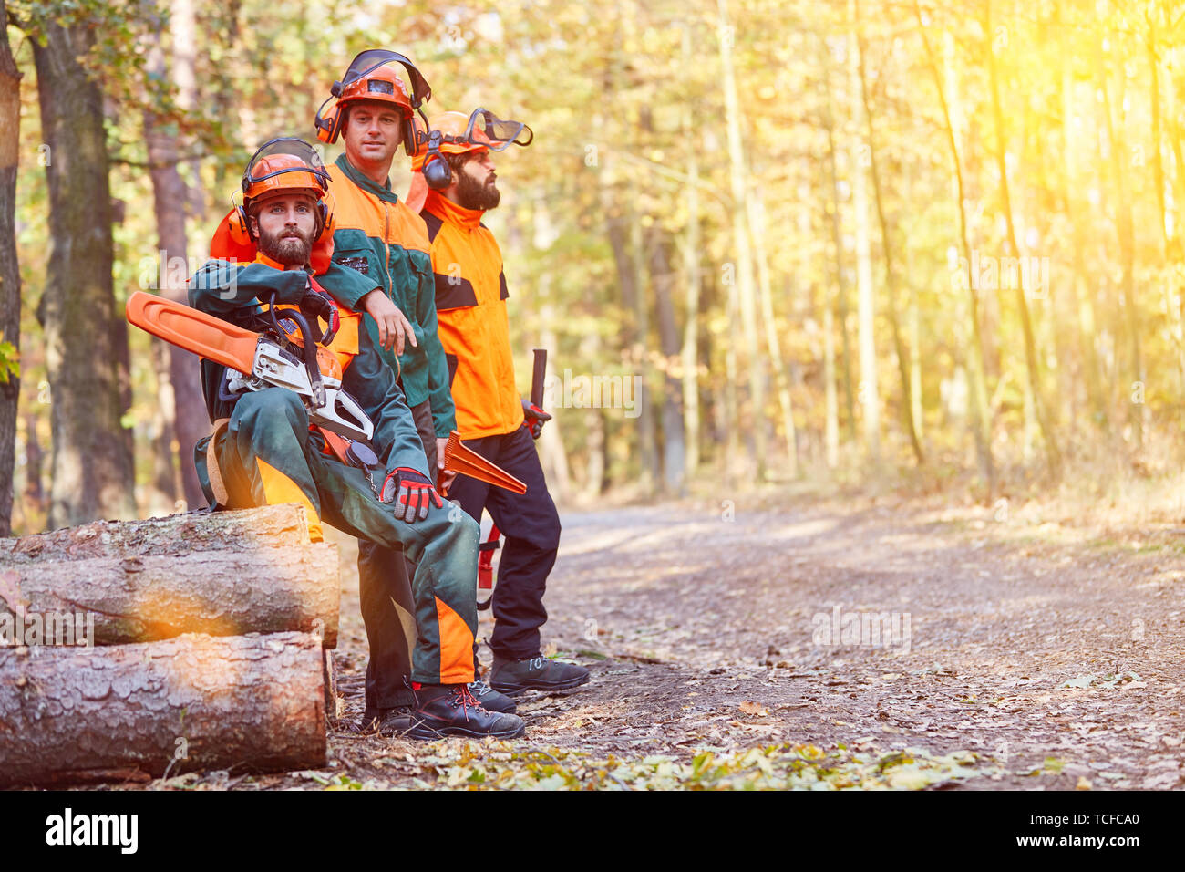 Occupational safety and protective clothing for lumberjacks and forest workers in the forest Stock Photo