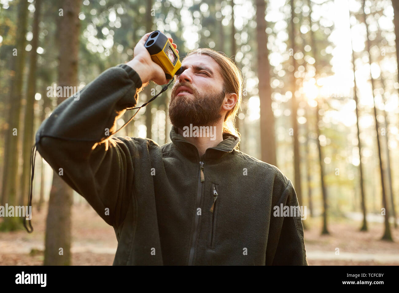 Forester determines the tree height with a laser rangefinder in the forest Stock Photo