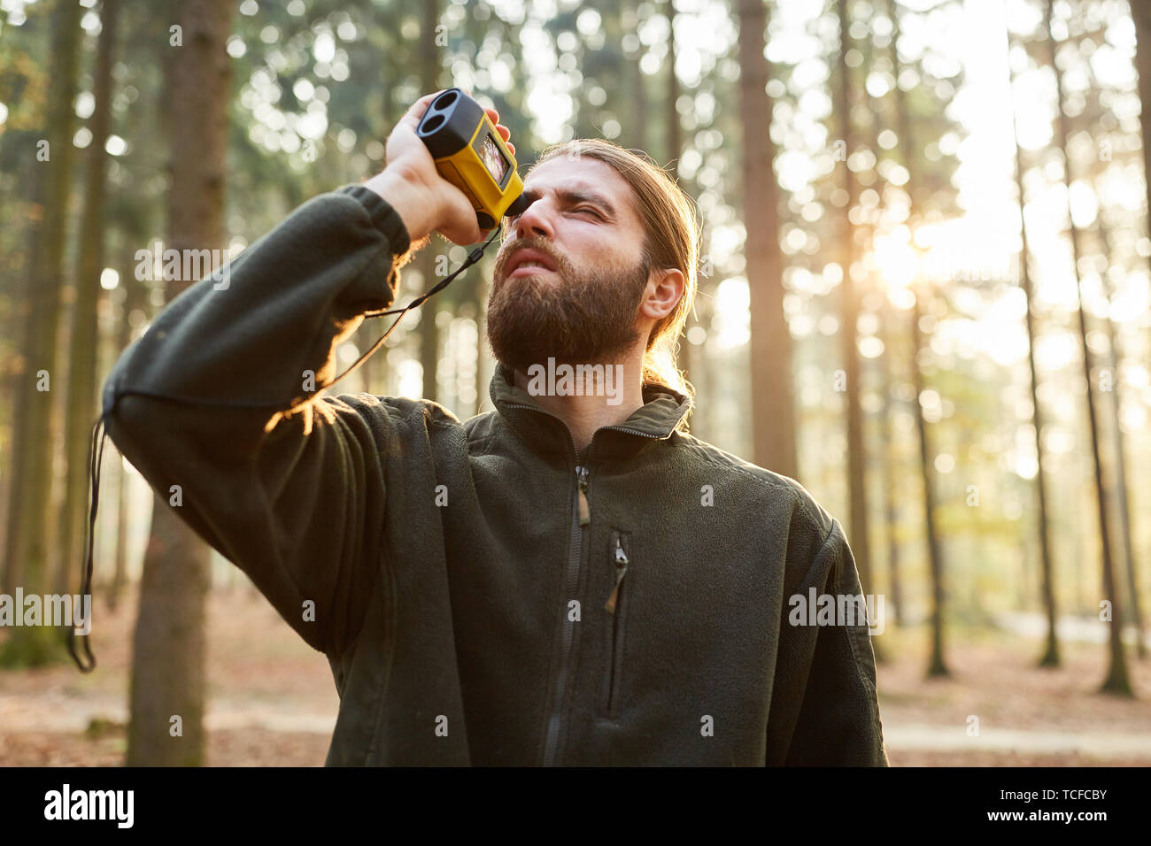 Forester determines the tree height with a laser rangefinder in the
