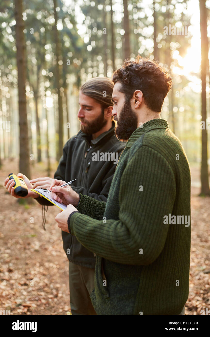 Two foresters or foresters measure and note the tree height in the forest district Stock Photo