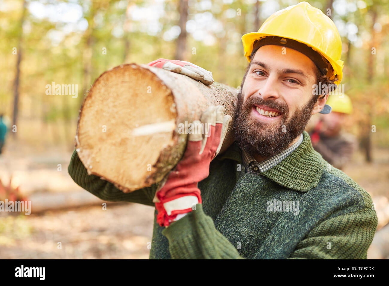Smiling forest worker in the wood harvest carries tree trunk with a ...