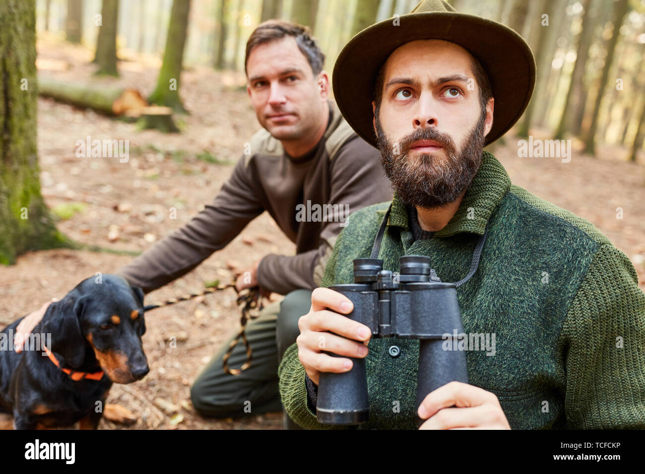 Two hunters or foresters with field glasses and hunting dog on the prowl in the forest Stock