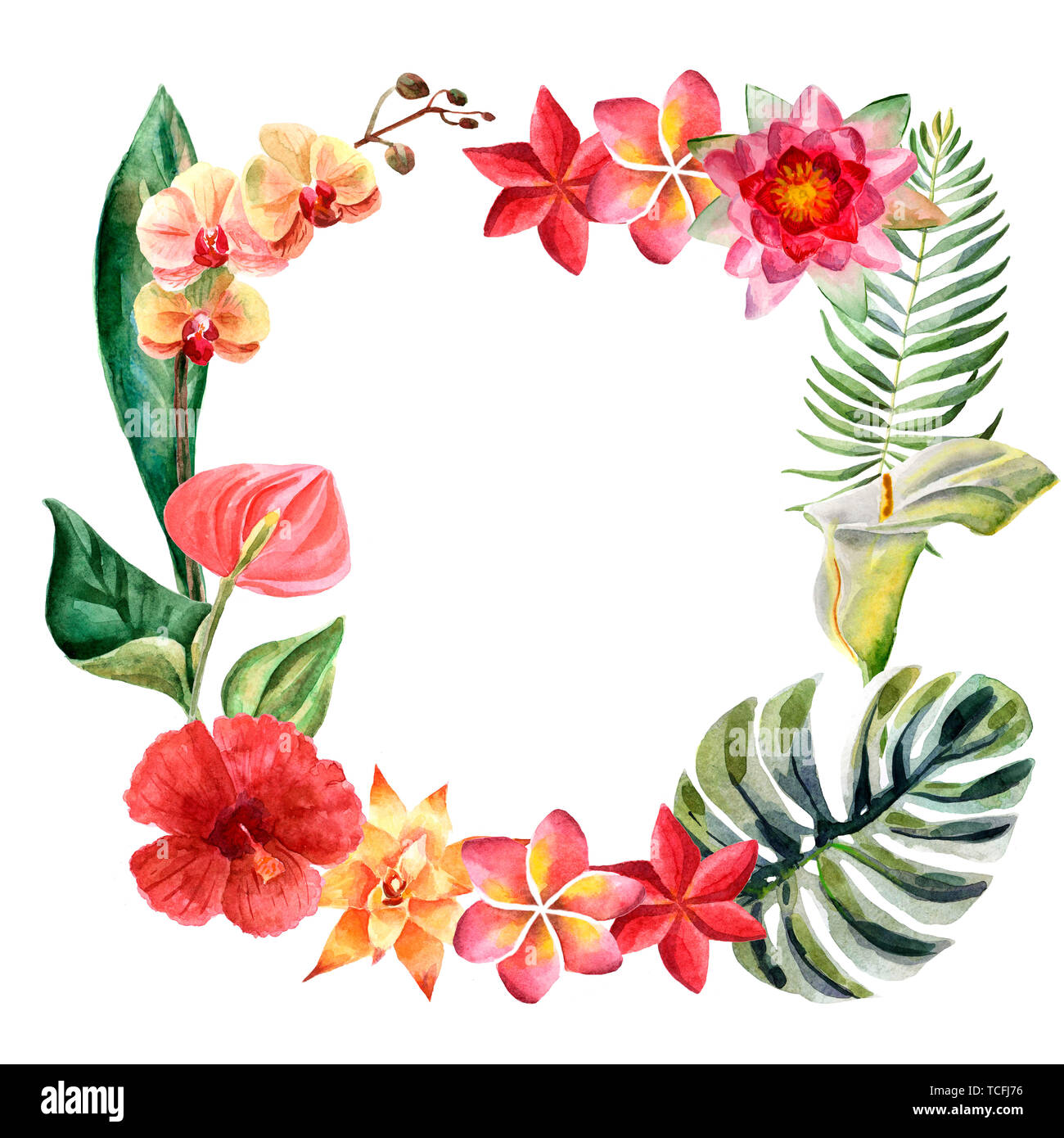 Watercolor frame of tropical flowers and green leaves isolated on a ...