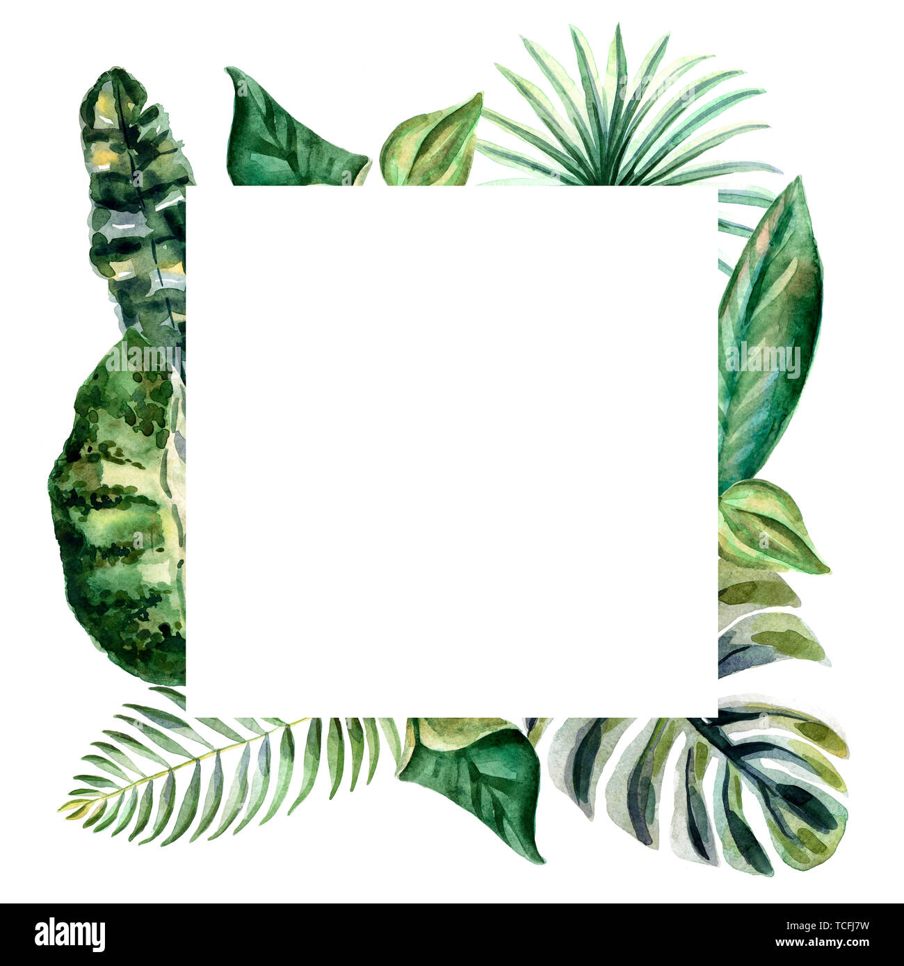 Watercolor frame of tropical flowers and green leaves isolated on a ...
