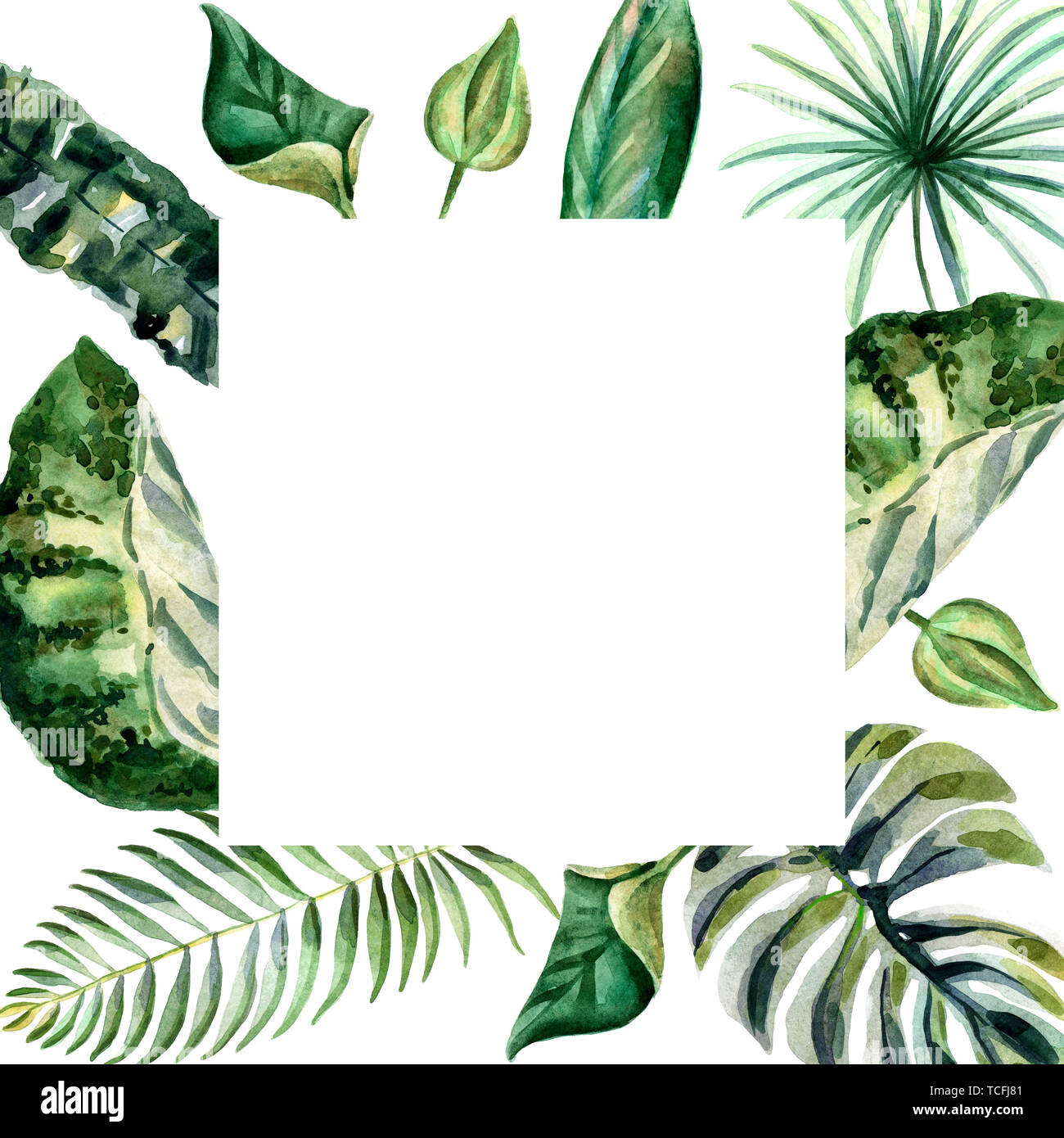 Watercolor frame of tropical flowers and green leaves isolated on a ...