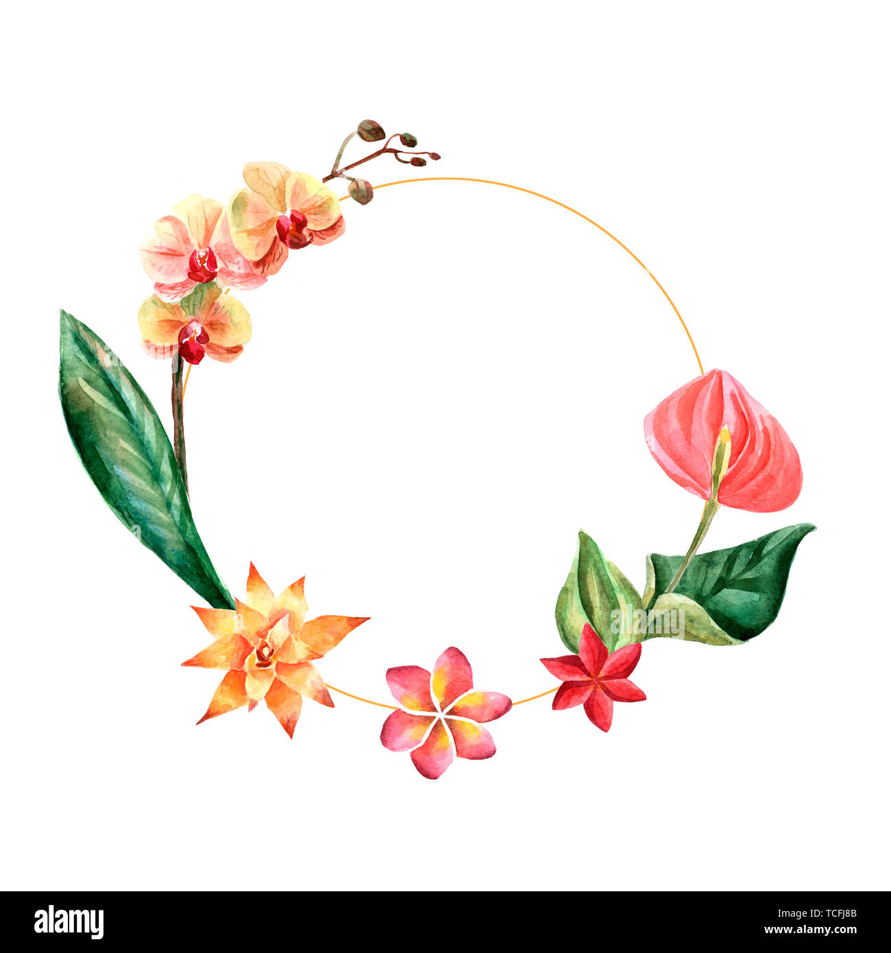 Watercolor frame of tropical flowers and green leaves isolated on a ...