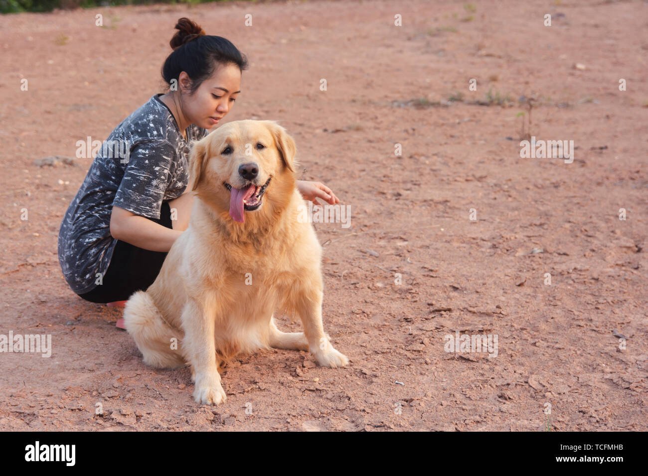 Woman with her golden retriever dog playing outdoors Stock Photo - Alamy