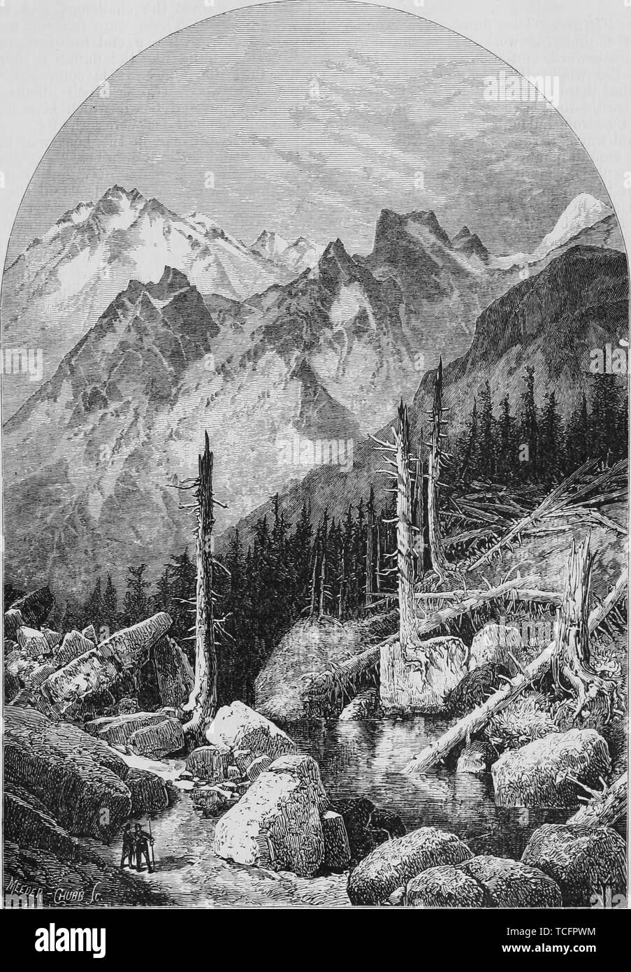 Engraving of the Summit in the Sierra Nevada mountain range, California, antique print 1874, from the book 'The Pacific tourist' by Henry T. Williams, 1878. Courtesy Internet Archive. () Stock Photo
