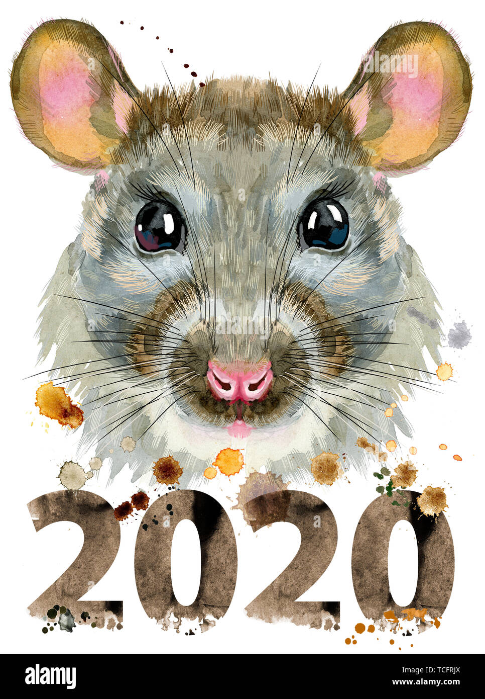 Cute rat for t-shirt graphics. Watercolor rat illustration with year 2020 Stock Photo