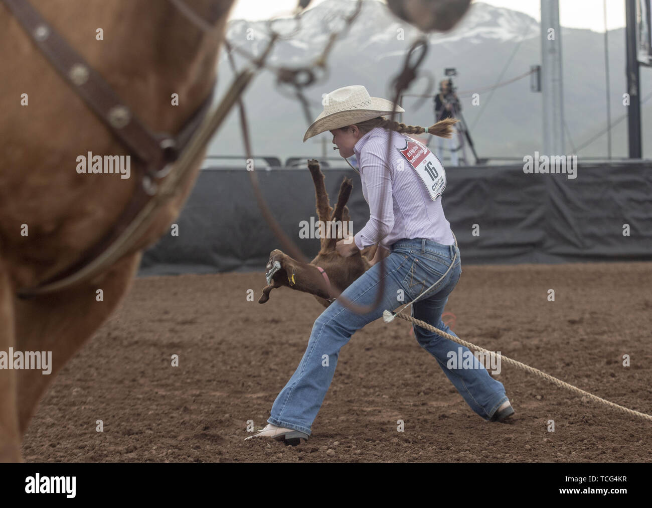 Goat Tying High Resolution Stock Photography And Images Alamy
