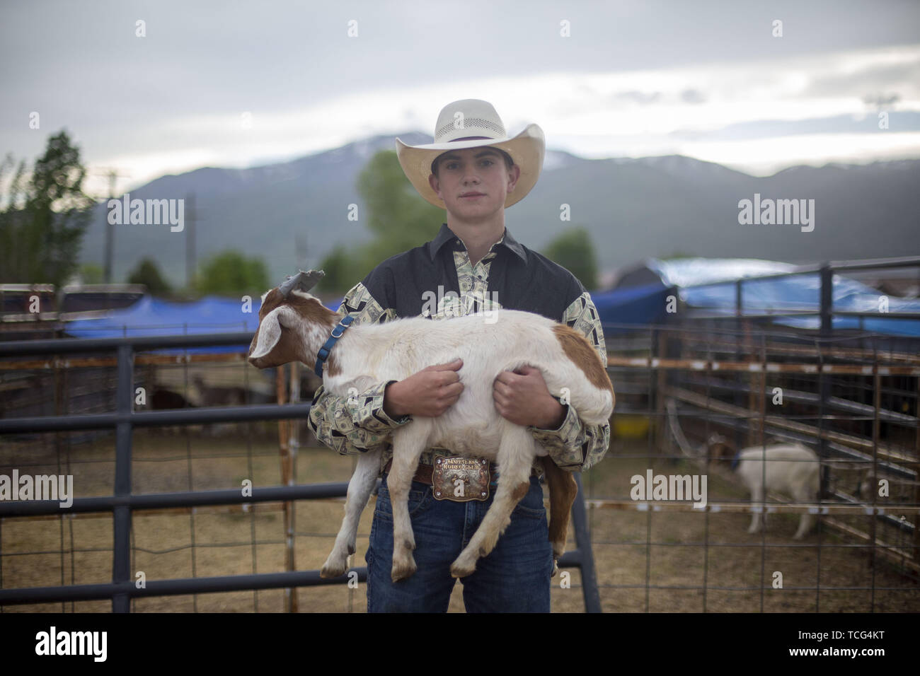 Genola utah hires stock photography and images Alamy